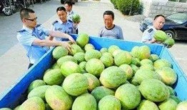 叶县网红吃瓜群微信,揭秘网络红人的幕后故事